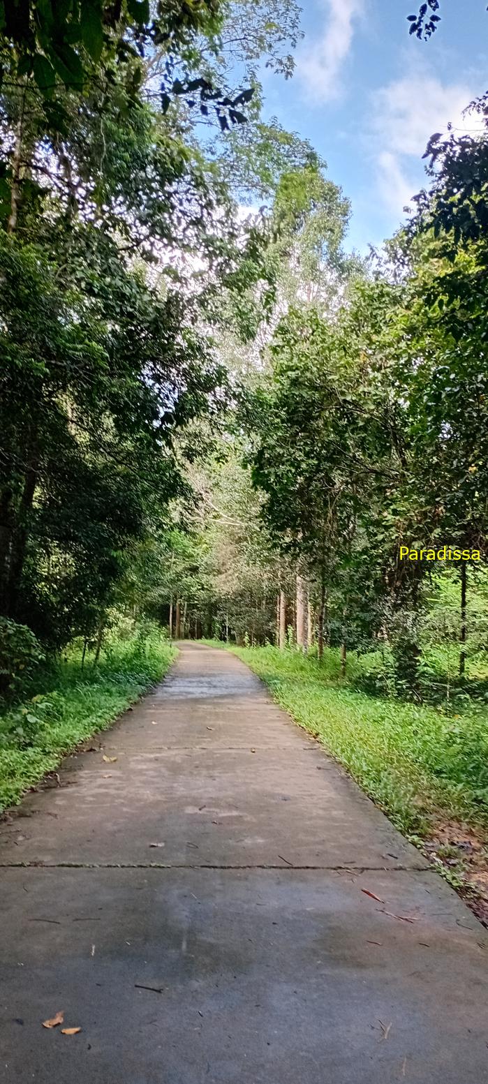 Birding at Cat Tien National Park, Vietnam