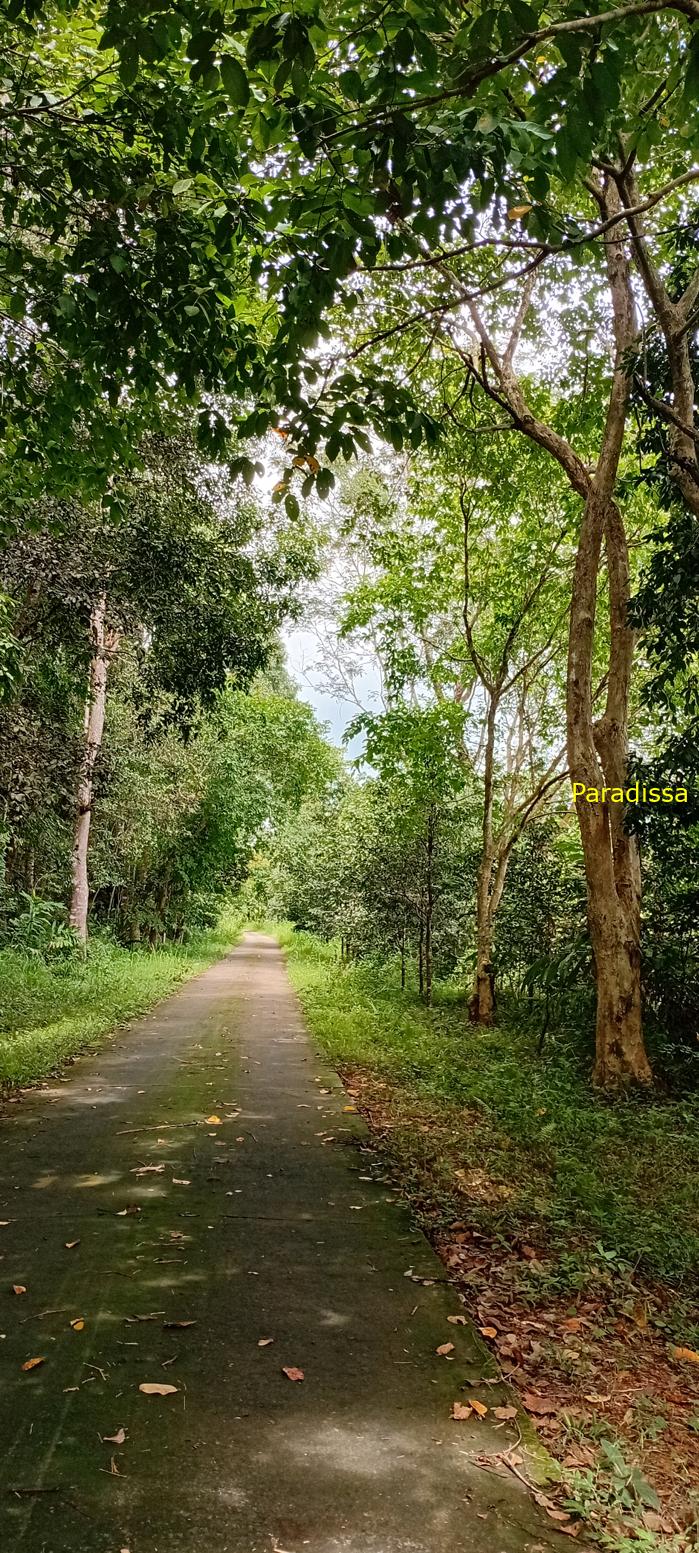 Birding at Cat Tien National Park, Vietnam