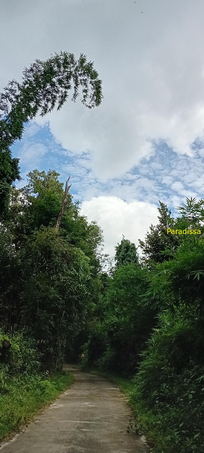 Birding at Cat Tien National Park, Vietnam