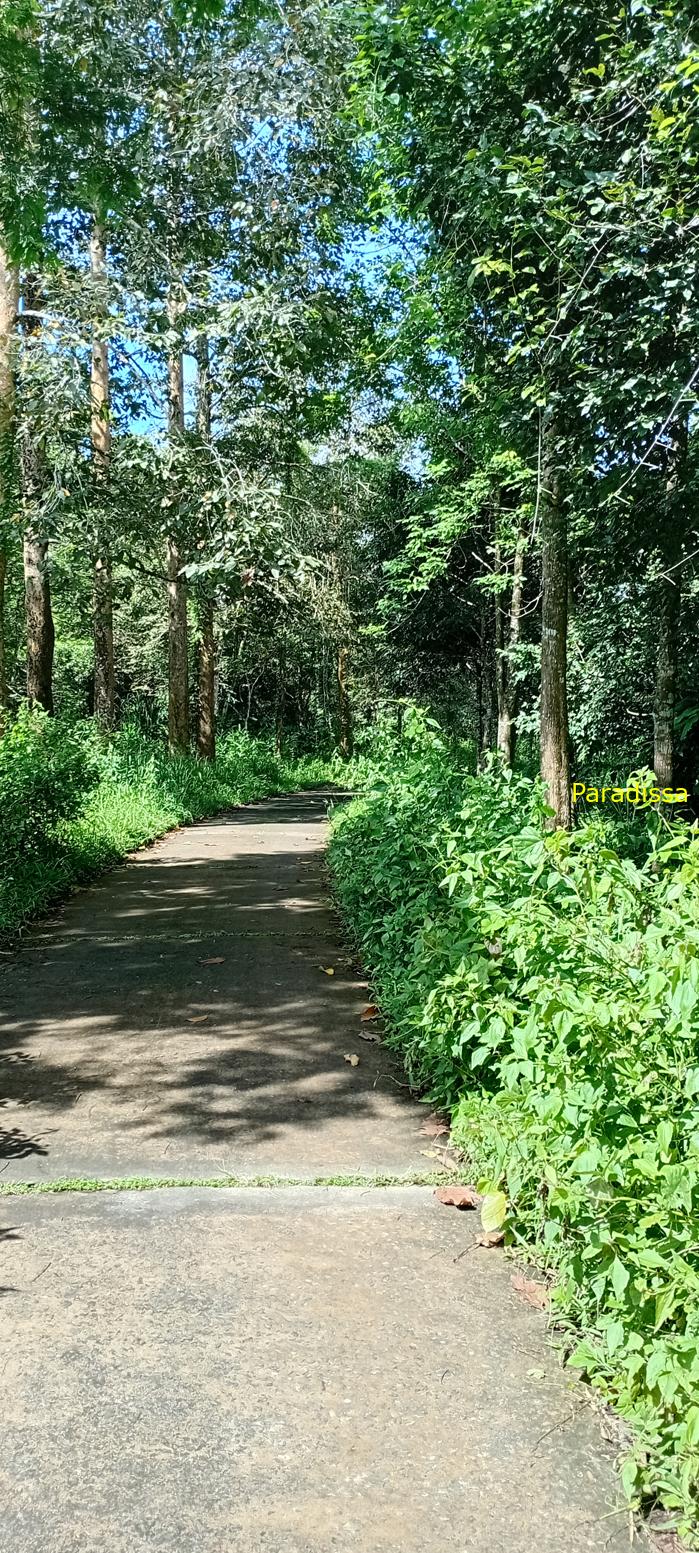 Birding at Cat Tien National Park, Vietnam