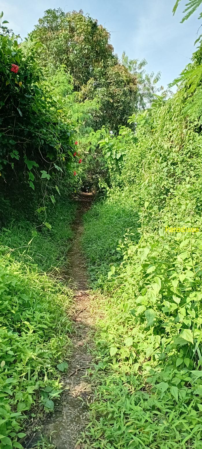 Birding at Cat Tien National Park, Vietnam