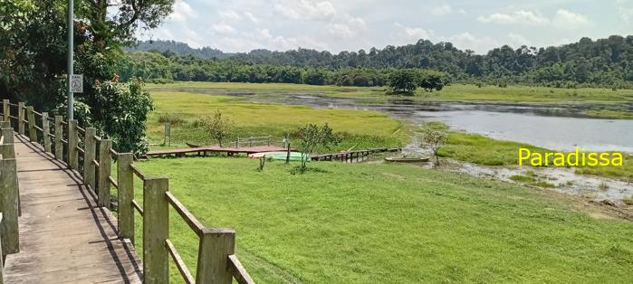 Birding at Cat Tien National Park, Vietnam