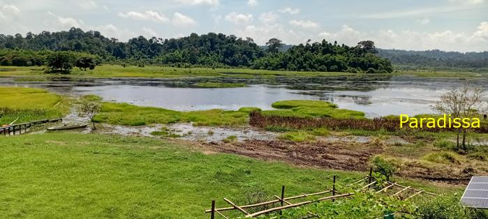 Birding at Cat Tien National Park, Vietnam