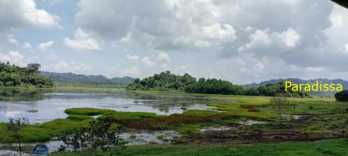 Birding at Cat Tien National Park, Vietnam
