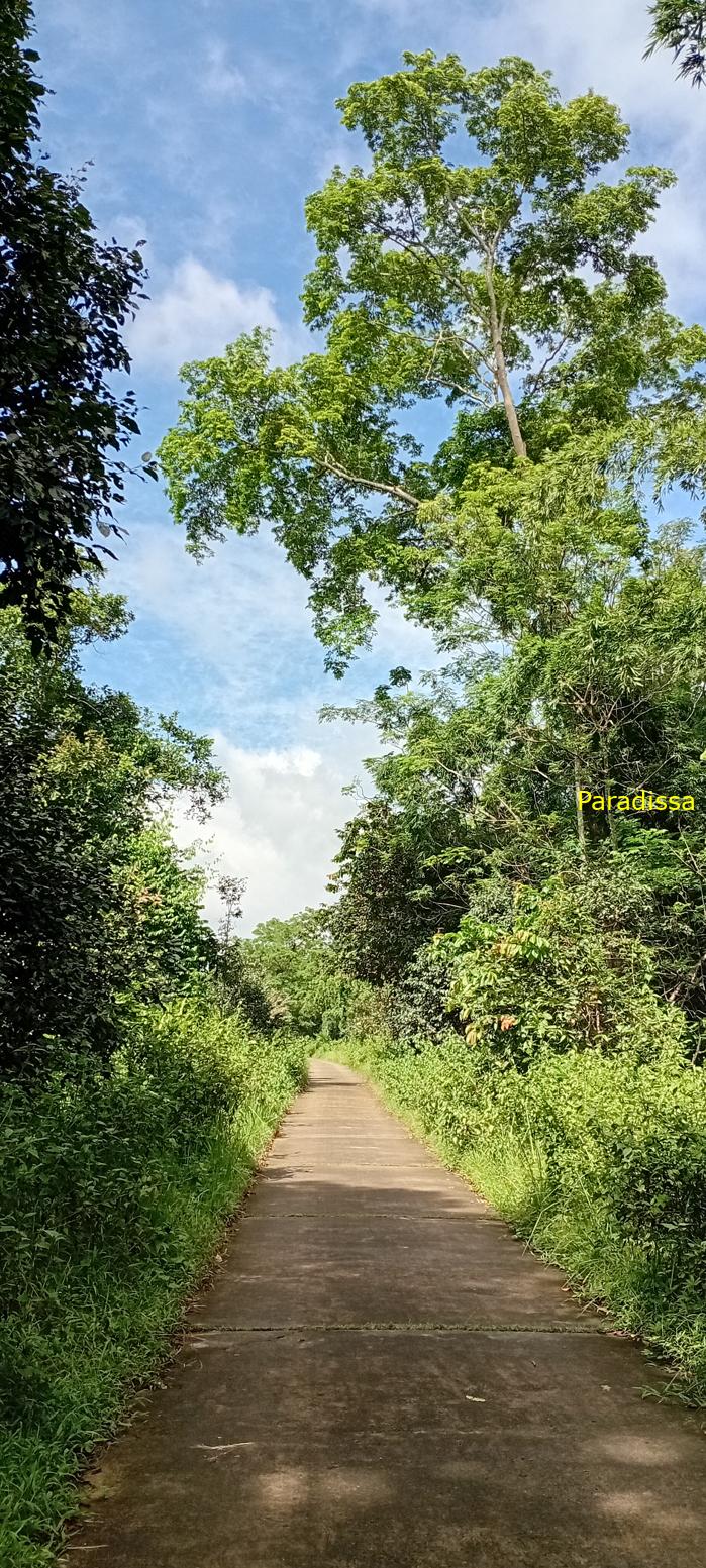 Birding at Cat Tien National Park, Vietnam