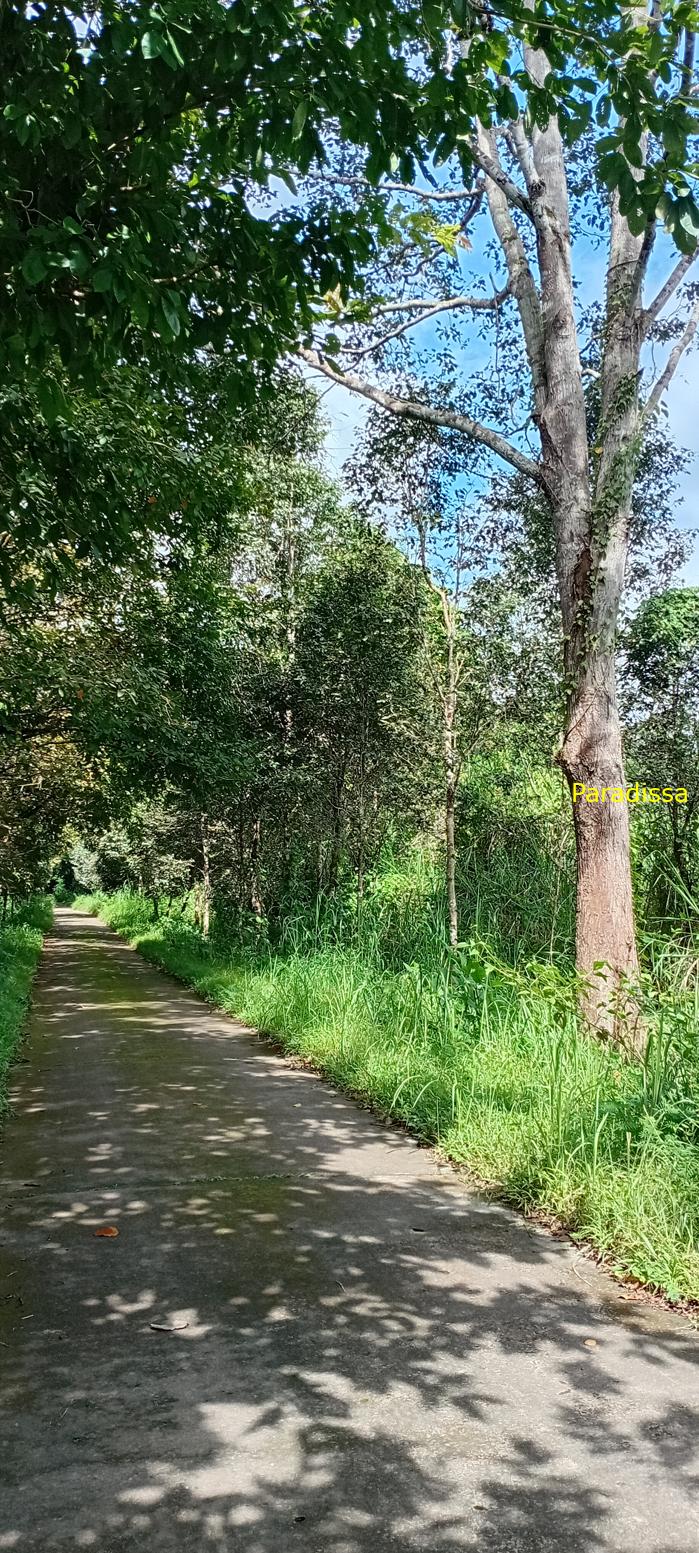 Birding at Cat Tien National Park, Vietnam