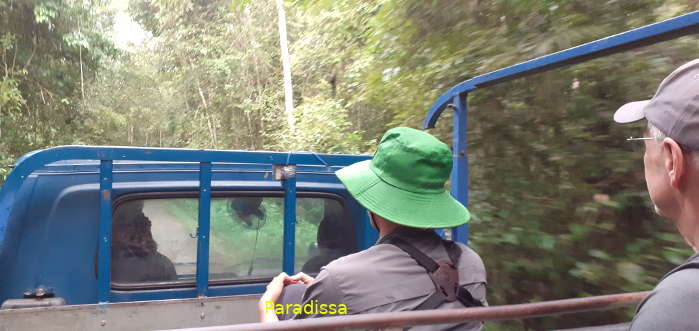 Birding at the Cat Tien National Park