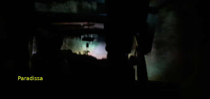 Night safari at Cat Tien National Park