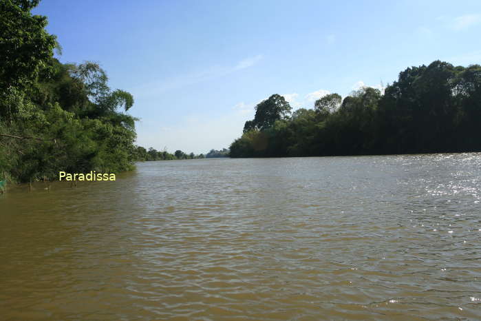 The Dong Nai River at the Cat Tien National Park in Tan Phu District, Dong Nai Province