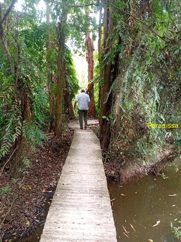 Battlefield Tour Vietnam: Xeo Quyt Combat Base