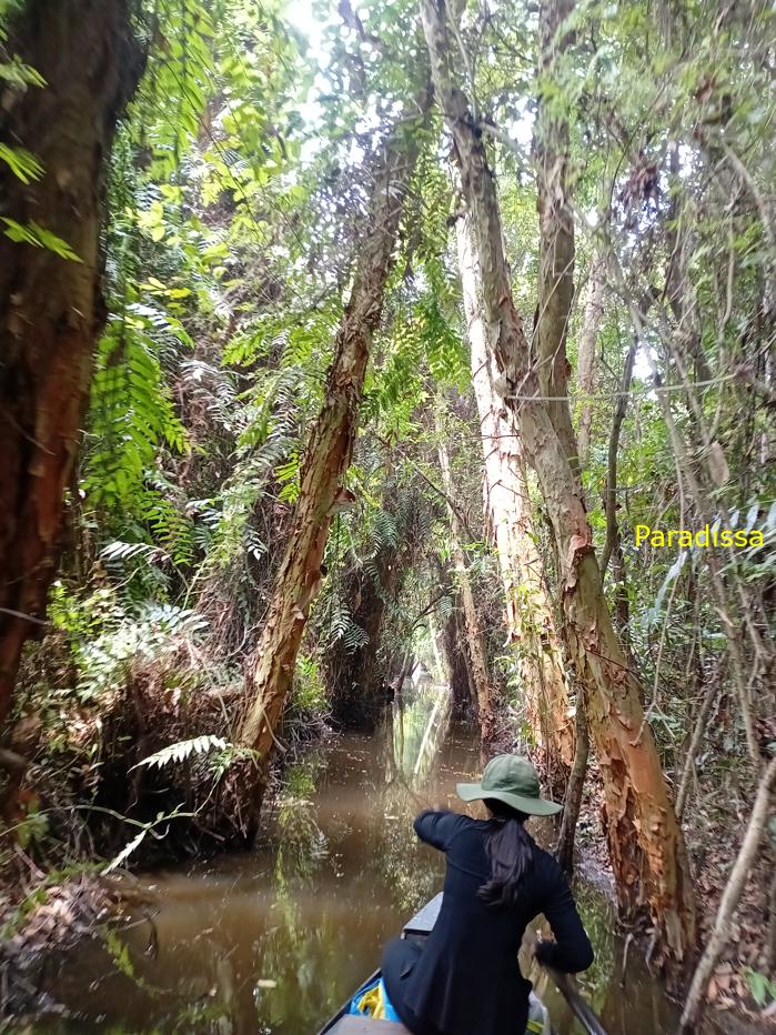 Battlefield Tour Vietnam: Xeo Quyt Combat Base
