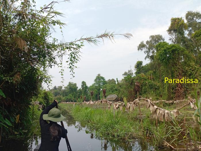 Battlefield Tour Vietnam: Xeo Quyt Combat Base