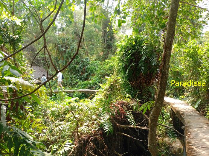 Battlefield Tour Vietnam: Xeo Quyt Combat Base