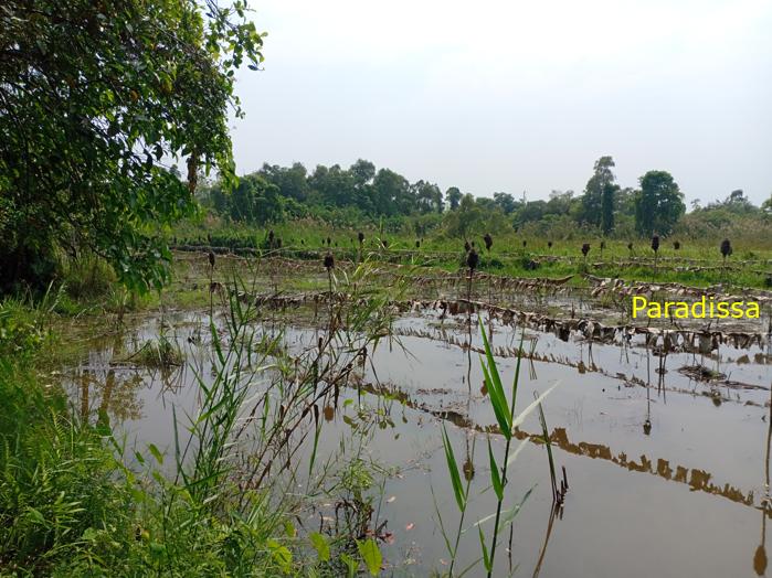 Battlefield Tour Vietnam: Xeo Quyt Combat Base