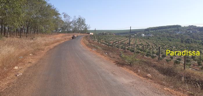 Travel Guide to Gia Lai, Vietnam Travel Guide to Gia Lai, Vietnam