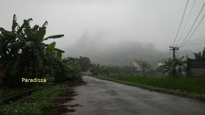 Thuy Nguyen countryside in fog of March