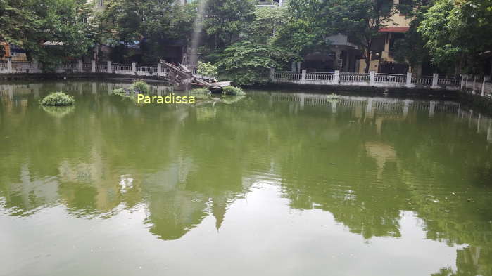 Wreckage of a B52 shot down in Hanoi in 1972