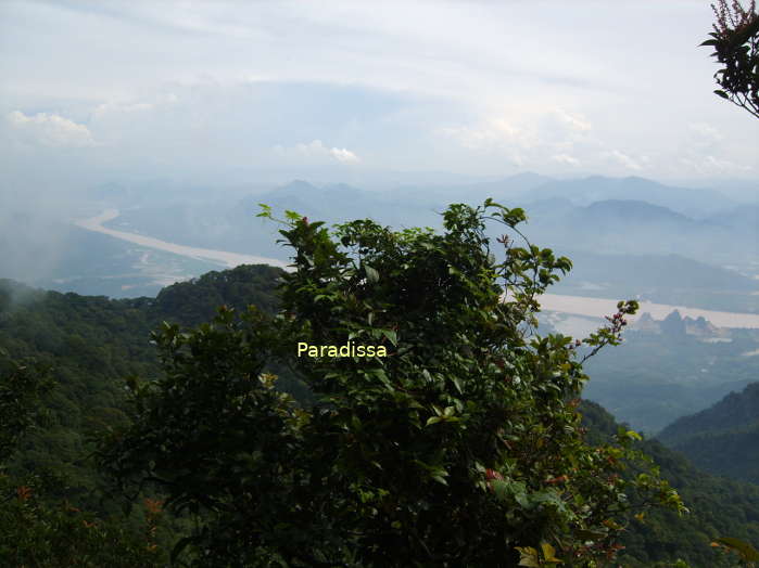 A breathtaking view from the top of the Ba Vi National Park