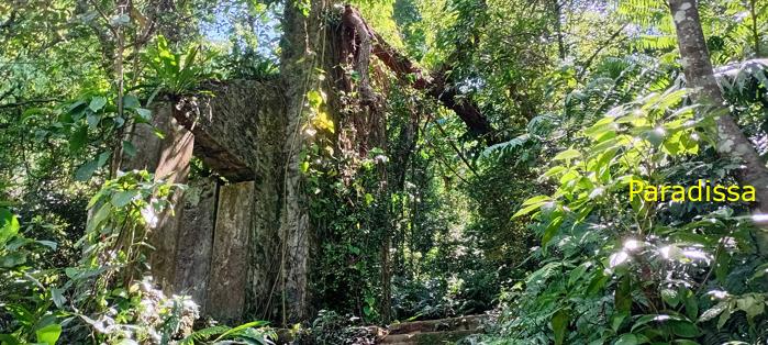 Ba Vi National Park Tour