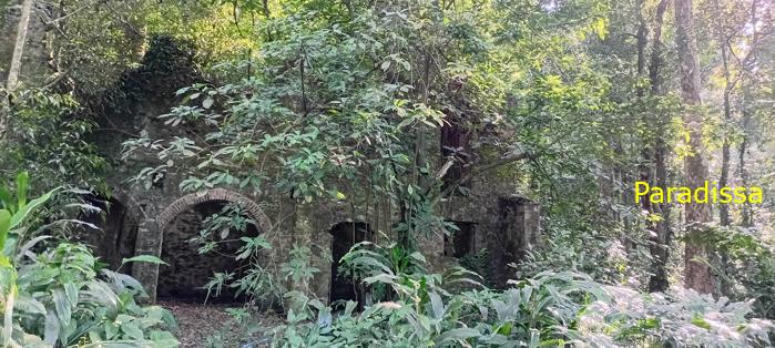 Ba Vi National Park Tour