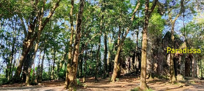Ba Vi National Park Tour
