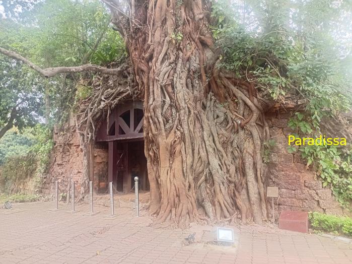 Travel guide to the Son Tay Citadel, Vietnam Travel guide to the Son Tay Citadel, Vietnam
