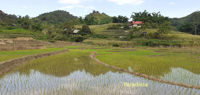 Lung Van Valley of the Clouds at Tan Lac Hoa Binh