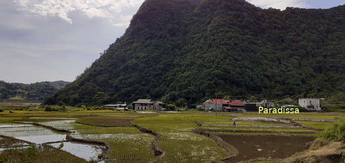 Some lovely scenery at the Lung Van Valley on our way back