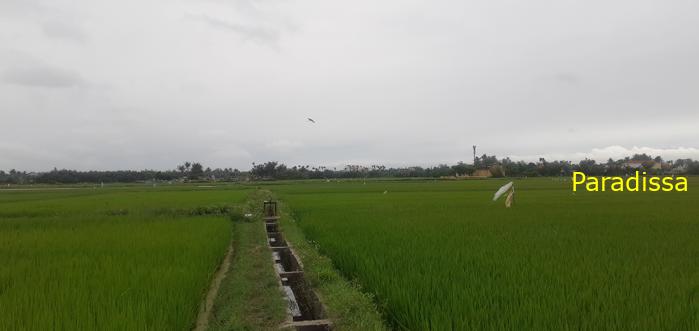 Family Vacation in Hoi An Vietnam