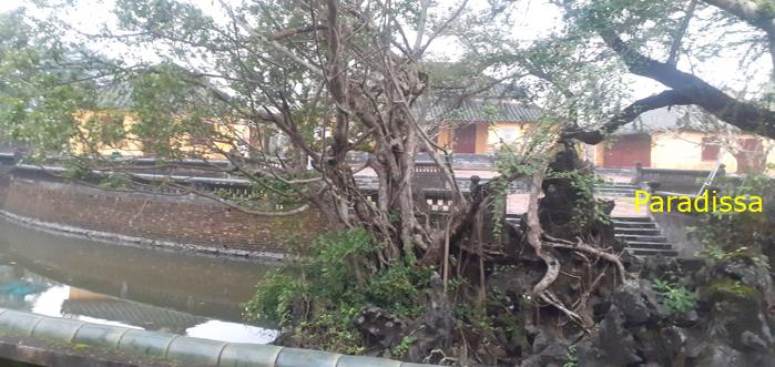 Family Tour to the Imperial Citadel in Hue, Vietnam