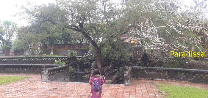 Family Tour to the Imperial Citadel in Hue, Vietnam