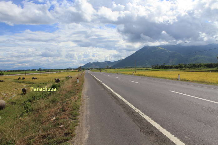 Scenic road to the Whale Island in Khanh Hoa Vietnam