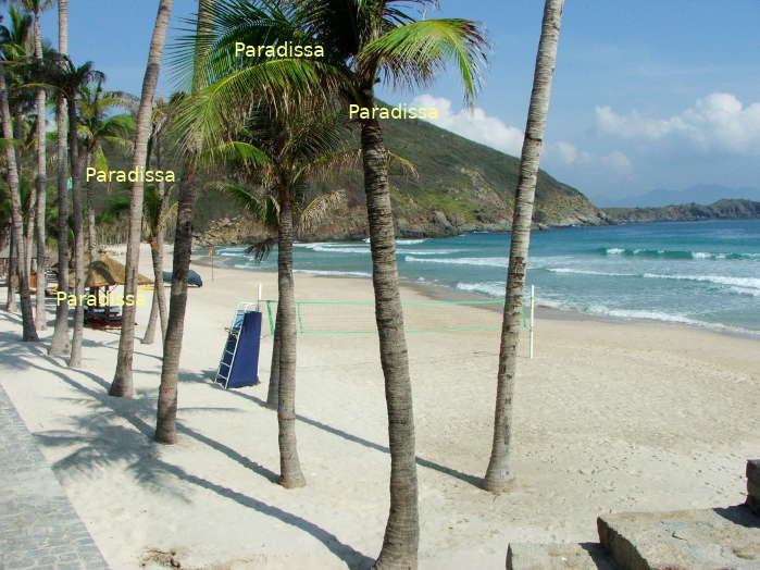 A pristine beach on an island on Nha Trang Bay Vietnam