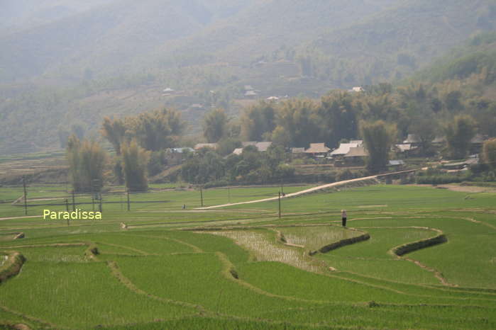 Thai ethnic villages at the Muong Kim Valley in Than Uyen District, Lai Chau, Vietnam