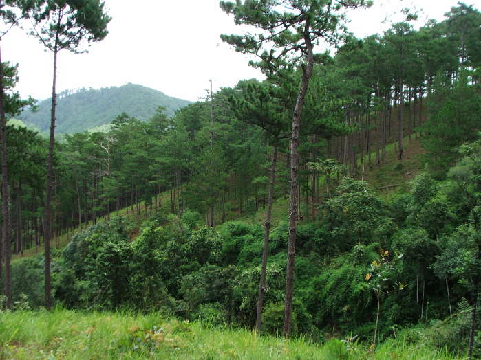 Didoup - Nui Ba National Park in Lam Dong Vietnam