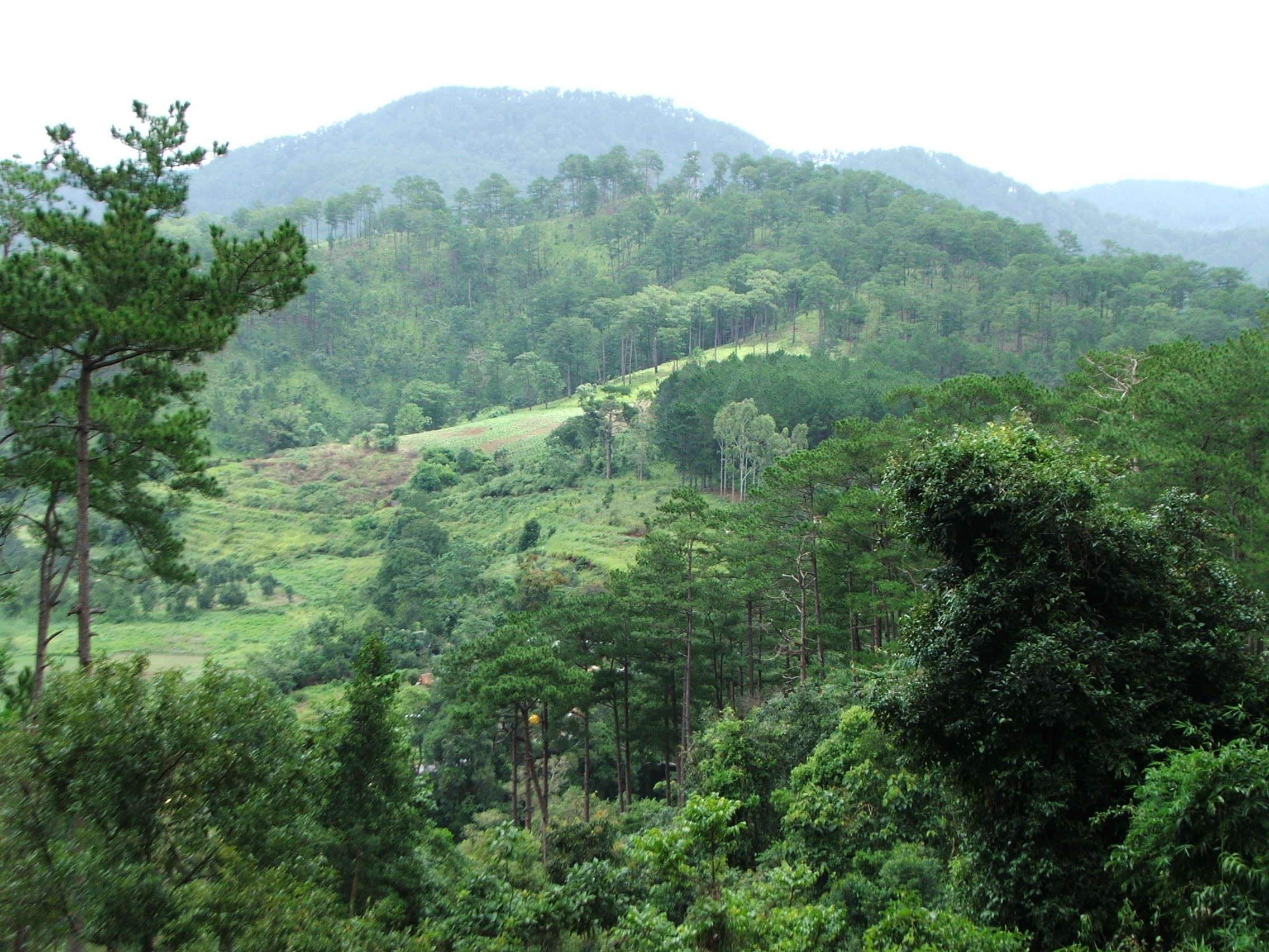 The Bidoup-Nui Ba National Park in Lam Dong is a great spot for nature tours, bird tours and hiking tours