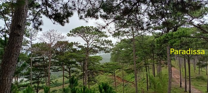 Birding at the Bidoup - Nui Ba National Park, Vietnam