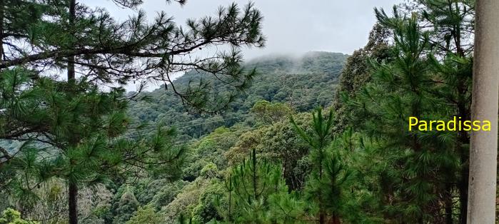 Birding at the Bidoup - Nui Ba National Park, Vietnam