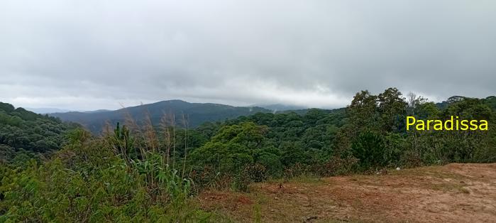 Birding at the Bidoup - Nui Ba National Park, Vietnam