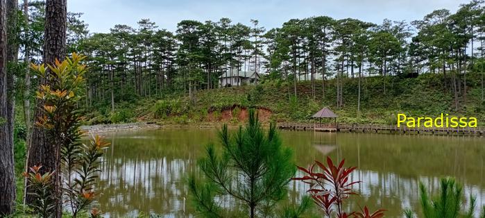 Birding at the Bidoup - Nui Ba National Park, Vietnam