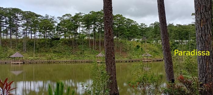 Birding at the Bidoup - Nui Ba National Park, Vietnam