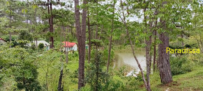 Birding at the Bidoup - Nui Ba National Park, Vietnam