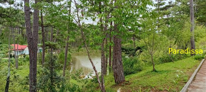 Birding at the Bidoup - Nui Ba National Park, Vietnam