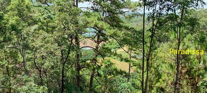 Birding at the Bidoup - Nui Ba National Park, Vietnam