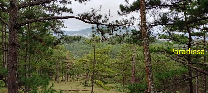 Birding at the Bidoup - Nui Ba National Park, Vietnam