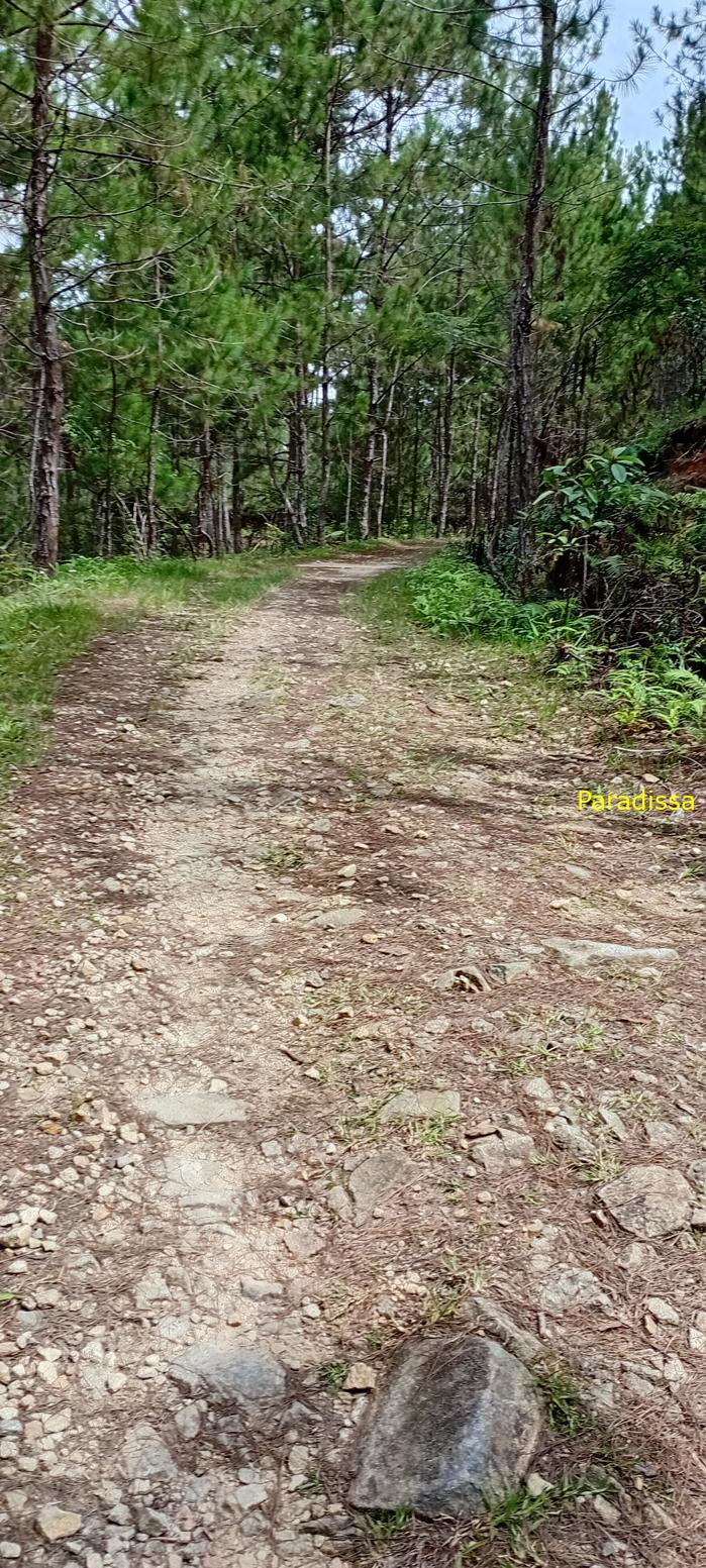 Birding at the Bidoup - Nui Ba National Park, Vietnam