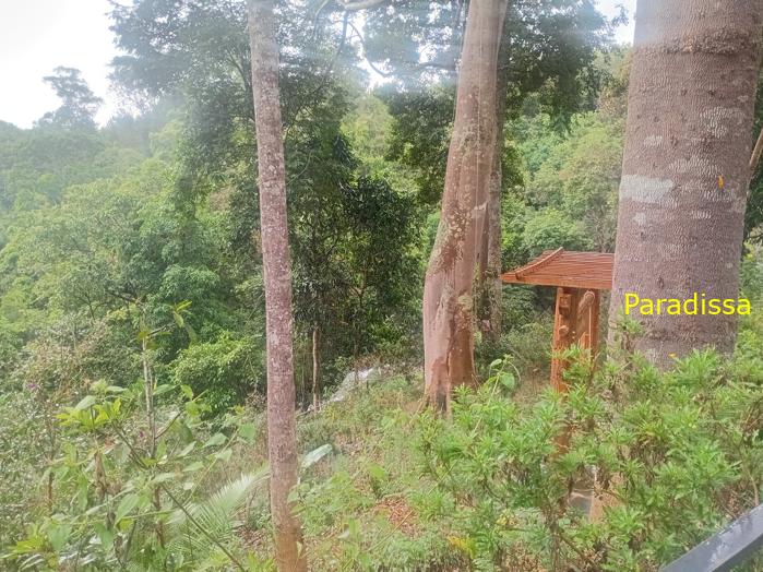 Liliang Waterfall in Di Linh Lam Dong Vietnam Liliang Waterfall in Di Linh Lam Dong Vietnam