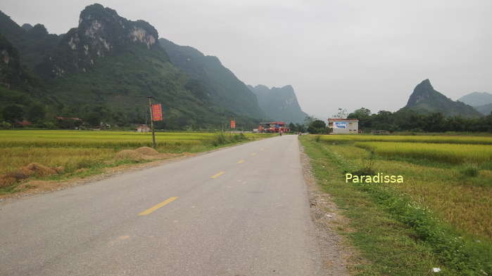 Scenic road amid mountains and rice fields near the Bac Son Valley