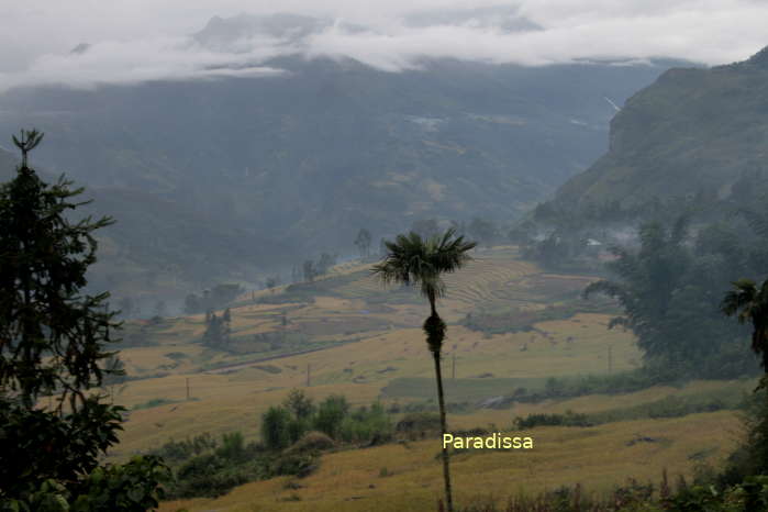 Rice terraces against mountain backdrop at Y Ty in Bat Xat, Lao Cai