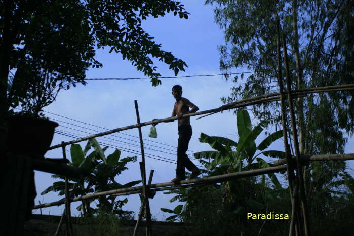 Crossing a Monkey Bridge in the Mekong Delta Vietnam